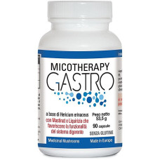 Micotherapy Gastro Micotherapy Gastro