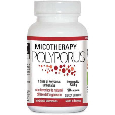 Micotherapy Polyporus Micotherapy Polyporus
