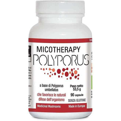 Micotherapy Polyporus Micotherapy Polyporus