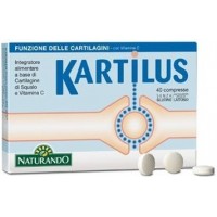 Kartilus