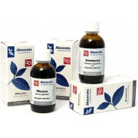 TM Pilosella (Hieracium pilosella)