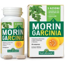 Moringarcinia