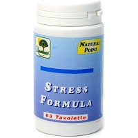 Stress Formula