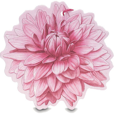 Sfumature di Dalia Fiore Profumato Multiuso
