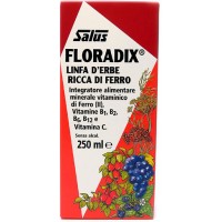 Floradix Herbal Sap