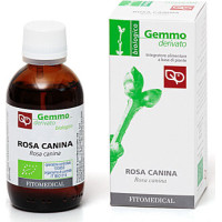 MG Rosa Canina Bio (Dog Rose) Young Shoots