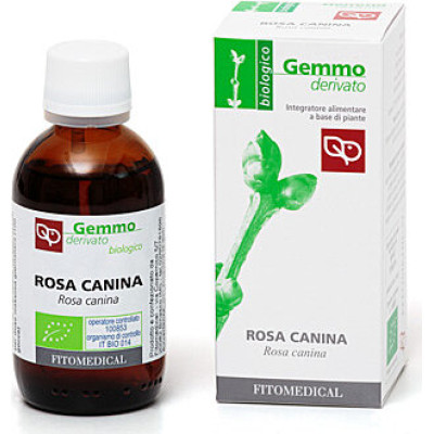 MG Rosa Canina Bio (Dog Rose) Young Shoots MG Rosa Canina Bio (Dog Rose) Young Shoots