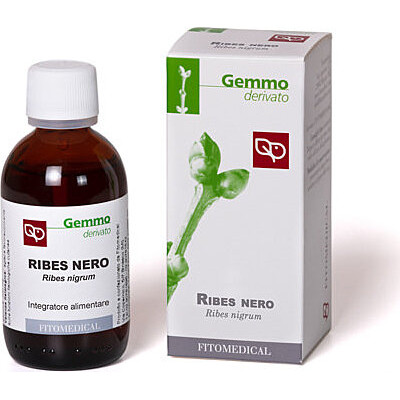 MG Ribes Nero (Ribes nigrum L.) Gemme