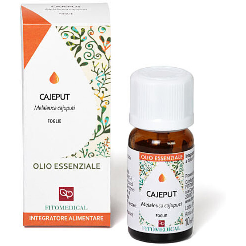 OE Cajeput (Melaleuca cajeputi Pow.) Foglie OE Cajeput (Melaleuca cajeputi Pow.) Foglie