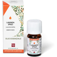 OE Lavanda Spigo (Lavandula latifolia Medik.) Sommità Fiorite