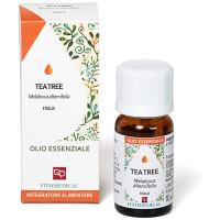 OE Tea Tree (Maiden et Betche) Foglie