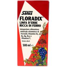 Floradix® Herbal Sap