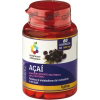 Acai Bacche - Colours of Life