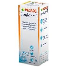 Junior-T