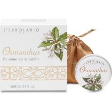 Osmanthus Balsamo Labbra