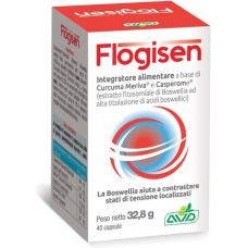 Flogisen