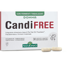 Donna Candifree Donna Candifree