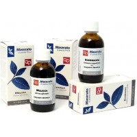 TM Zenzero (Zingiber officinale)