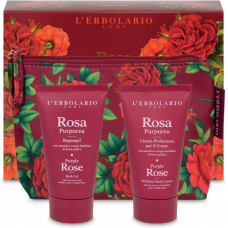 Rosa Purpurea Beauty-Pochette Favolosa