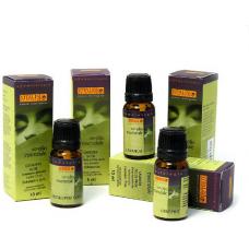 Essential Oil of Basil (Ocimum basilicum) plant