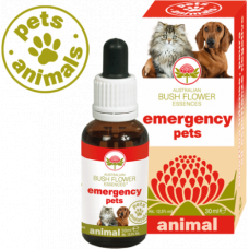 Emergency Pets Australiani Bush Flowers