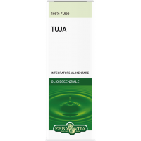 Essential Oil of Thuja (Thuja occidentalis)