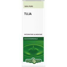 Essential Oil of Thuja (Thuja occidentalis)