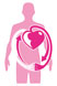 cardio metabolico